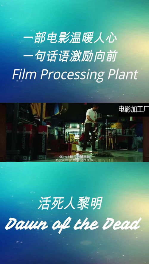 電影加工廠 手中神器丟了居然撿這東西,大哥你嚇傻了吧